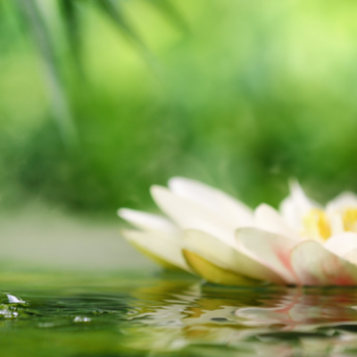 Healing Healing